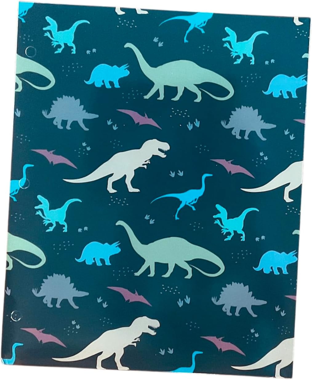 Back to School 2 Pocket Folders Gaming, Surfing Sharks, Robots Dinosaurs 4pk