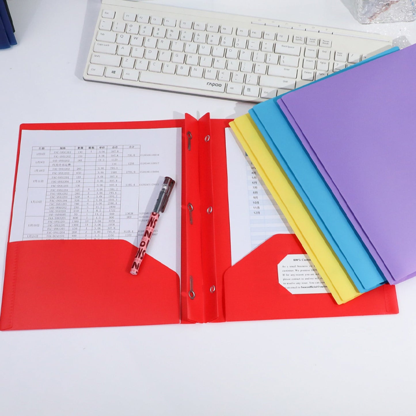 ZXNWN Plastic Pocket Folders with Brad Folder, 2 Pocket Plastic Folders, Heavy Duty Plastic Pockets Folders with Brads, olored Plastic Folders with Clasp for School Office,Green