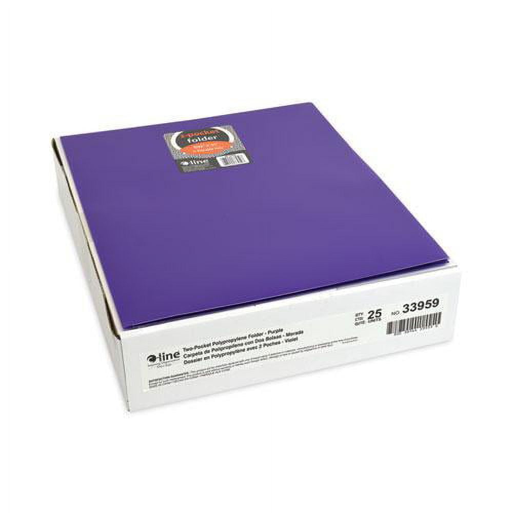 Two-Pocket Heavyweight Poly Portfolio Folder