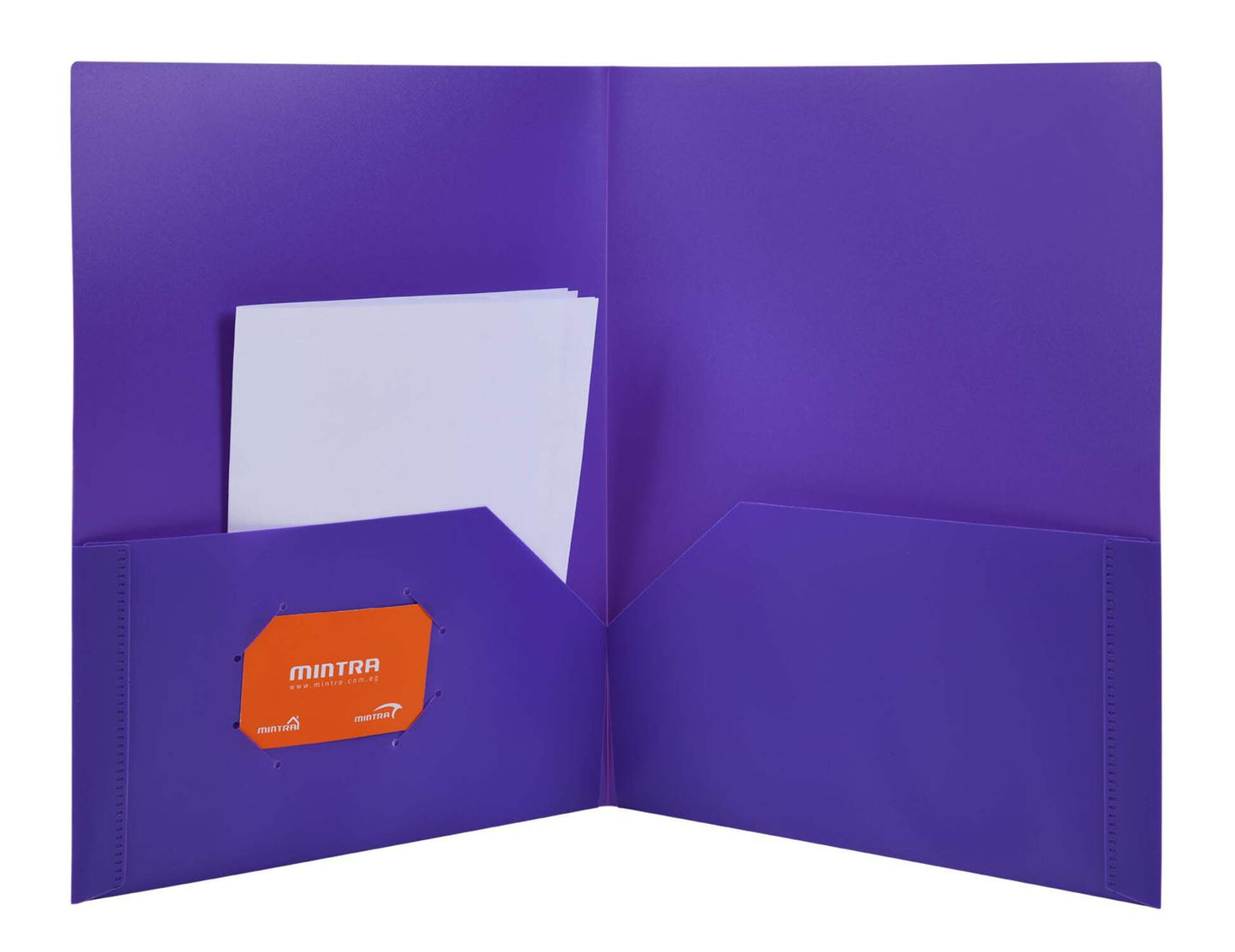 Poly Pocket Folders (8 Pack) - Assorted Colors