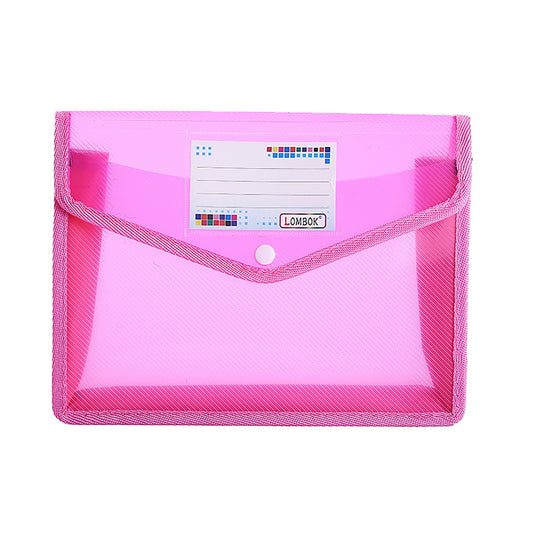 Pedty ,Plastic File Folders Envelope Expanding File Wallet Organizer Documents Folder with Snap Closure and Pocket A5 Size Transparent File Pouch for School (Assorted Color Vertical)