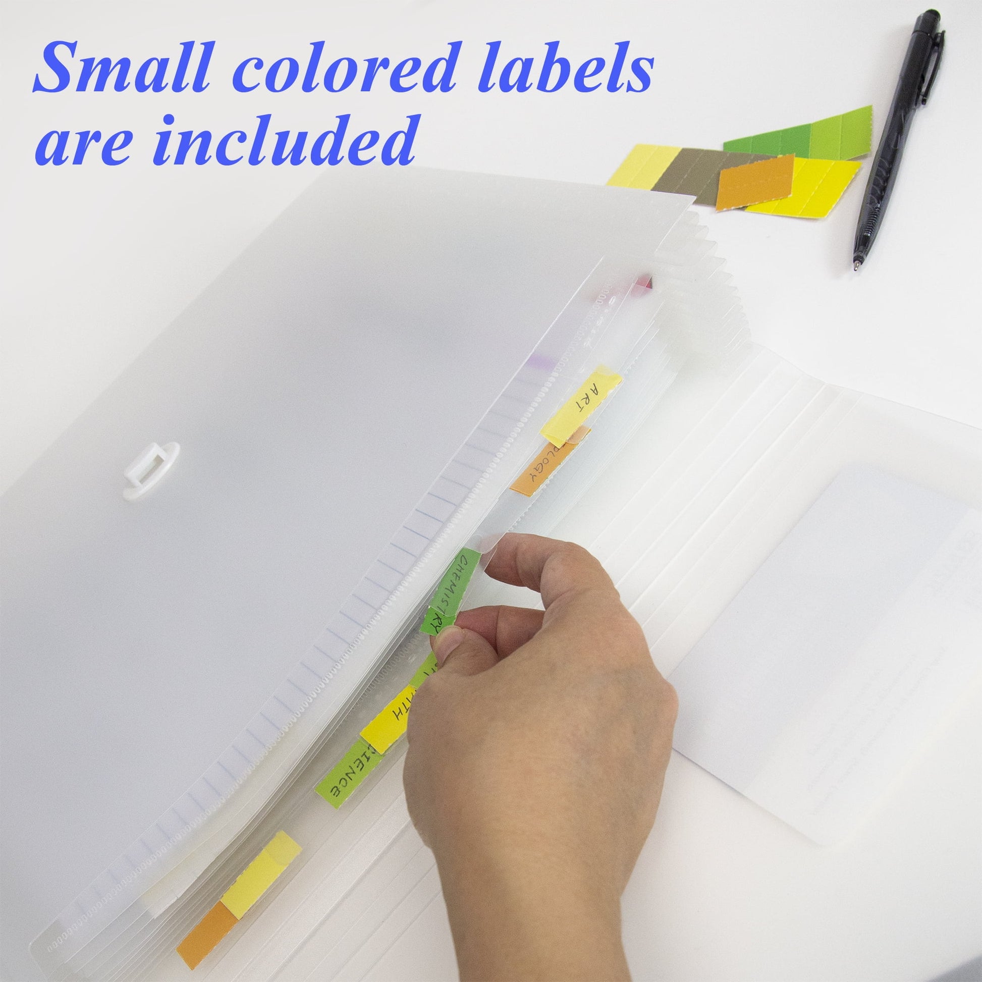 BAZIC Expanding File Folder 13 Pockets Color Tab, Document Envelopes, 2-Pack