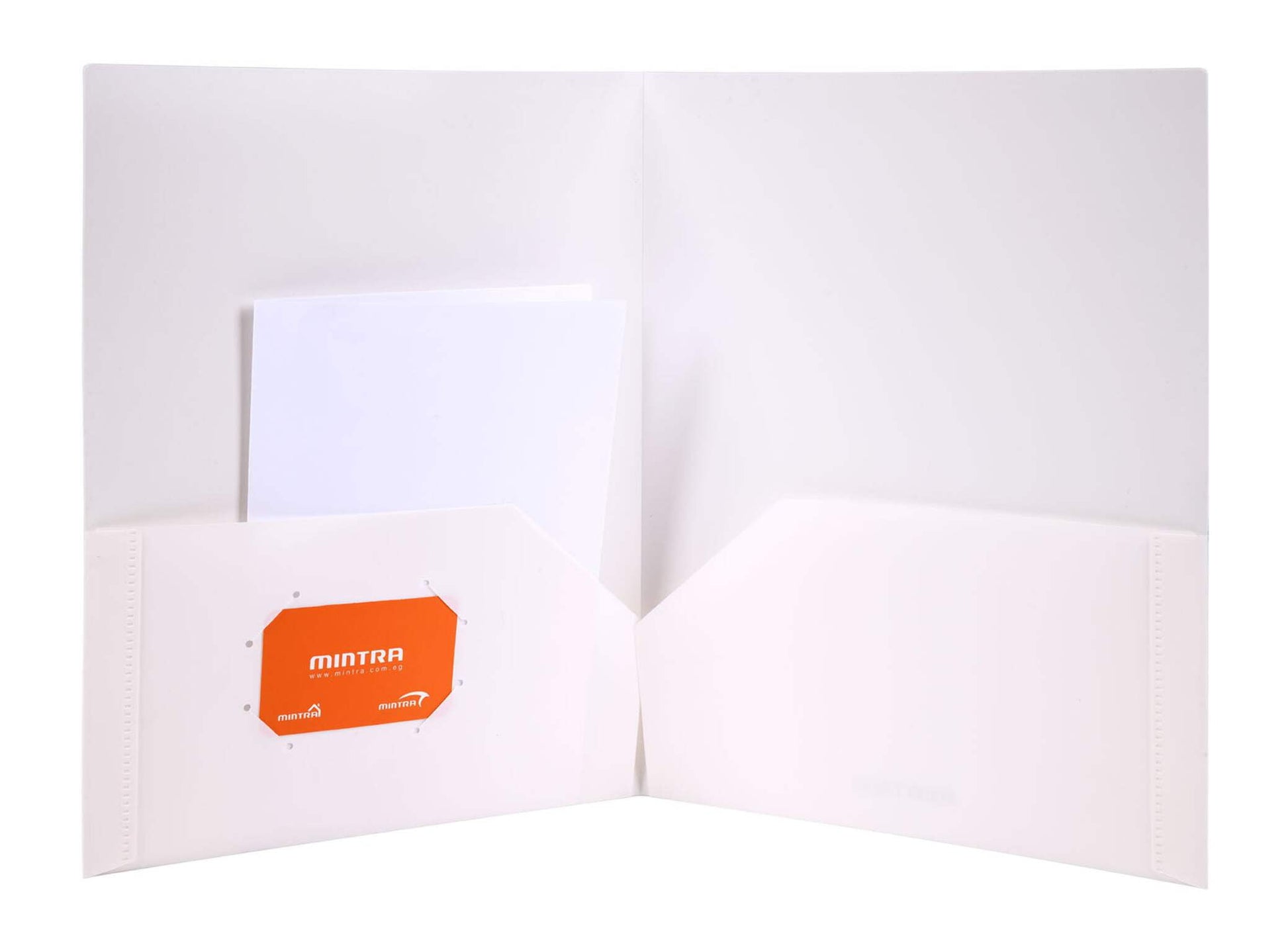 Poly Pocket Folders (8 Pack) - Assorted Colors